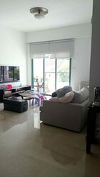 Fifth Avenue Condominium (D10), Condominium #619487521